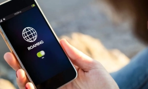 Японія запускає екологічний поїзд до священної гори Коясан — The Independent