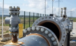 В скором времени Украина получит дополнительные Gepard и Iris-T – Шольц