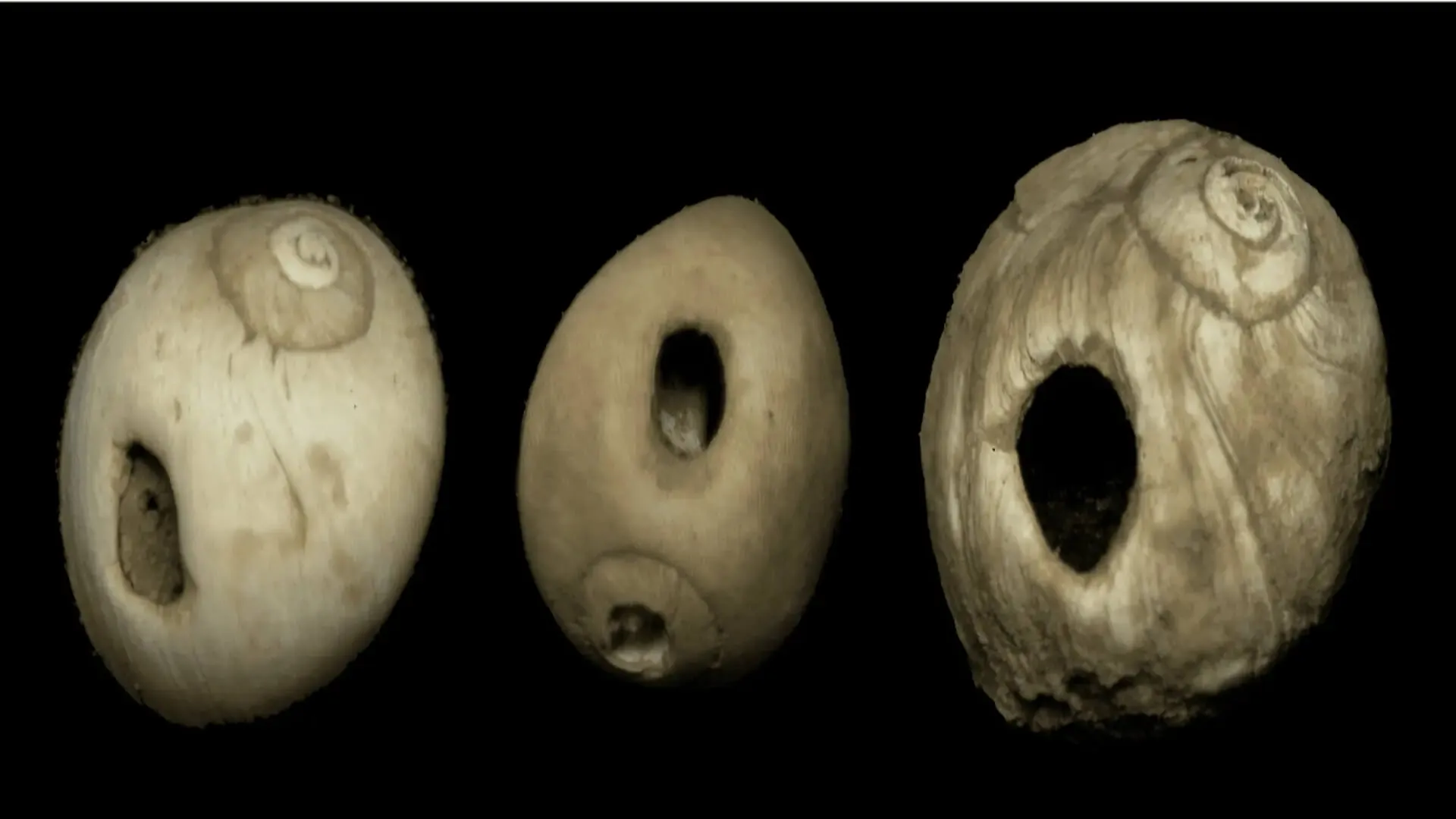 Археологи виявили найдавніші останки дитини віком 11 тисяч років