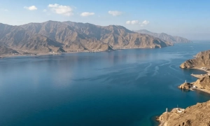 Туреччина має намір зайняти місце Британії у ЄС