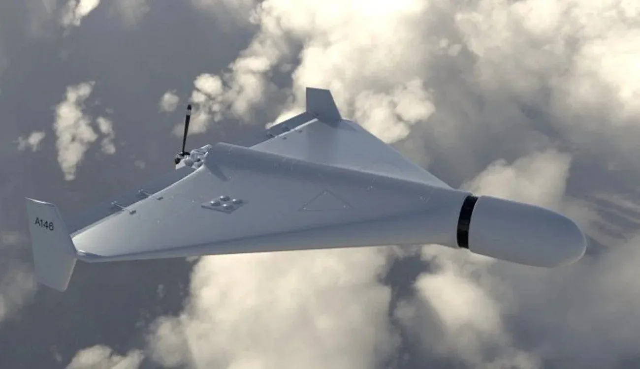 Russian invaders tried to shoot down a stork using a kamikaze drone