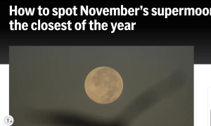 Назар Холодницький відбувся легким переляком, отримавши догану