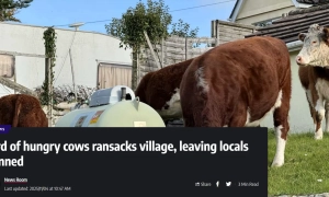 Кремль пригрозив закрити Національний культурний центр України в Москві