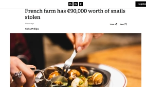 У Стамбулі розпочалися важливі «зернові» переговори 