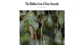 Світові ринки відновлюються після обвалу через коронавірус