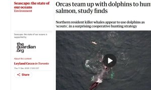 Відмова від підтримки України не принесе миру – Шольц 