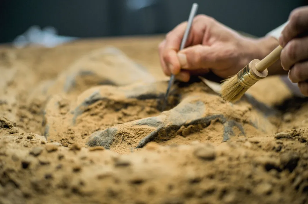 У Туреччині розшифрували табличку хеттів — Daily Star