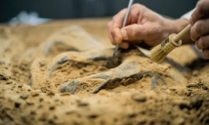 Меркель обговорила з Путіним Іран і Донбас