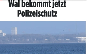 Украина может потерять солидную иностранную финпомощь