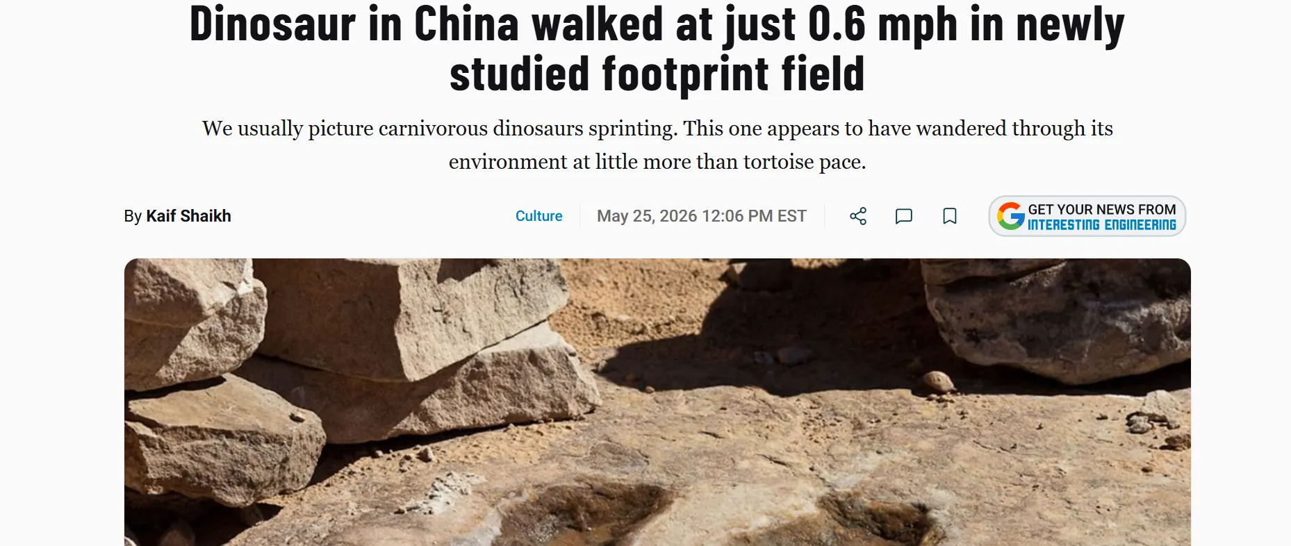 Dinosaur tracks found in China show the animal moved at a snail's pace — IE