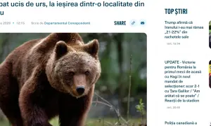 Європарламент заборонить користуватись TikTok