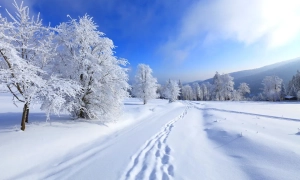 Україна та ЄБРР підписали договір про посилення енергетичної стійкості
