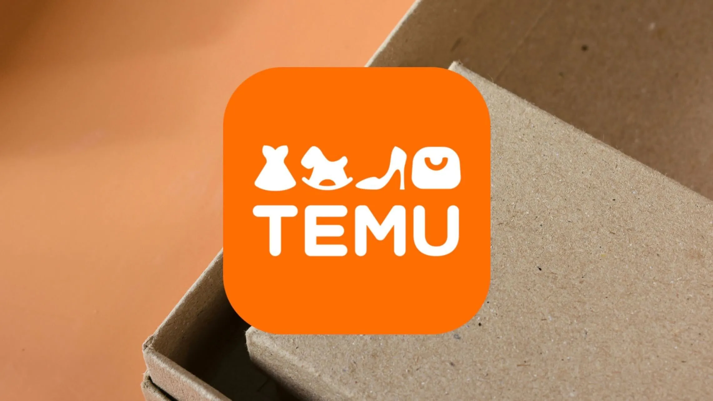 У Молдові планують врегулювати потік дешевих посилок із Temu та Joom — Newsmaker