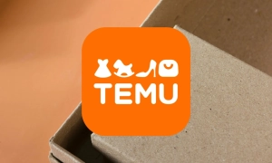 У Молдові планують врегулювати потік дешевих посилок із Temu та Joom — Newsmaker