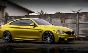 Гороскоп за картами Таро на 4 грудня: Тельцям — час для навчання, Терезам — хвиля романтики