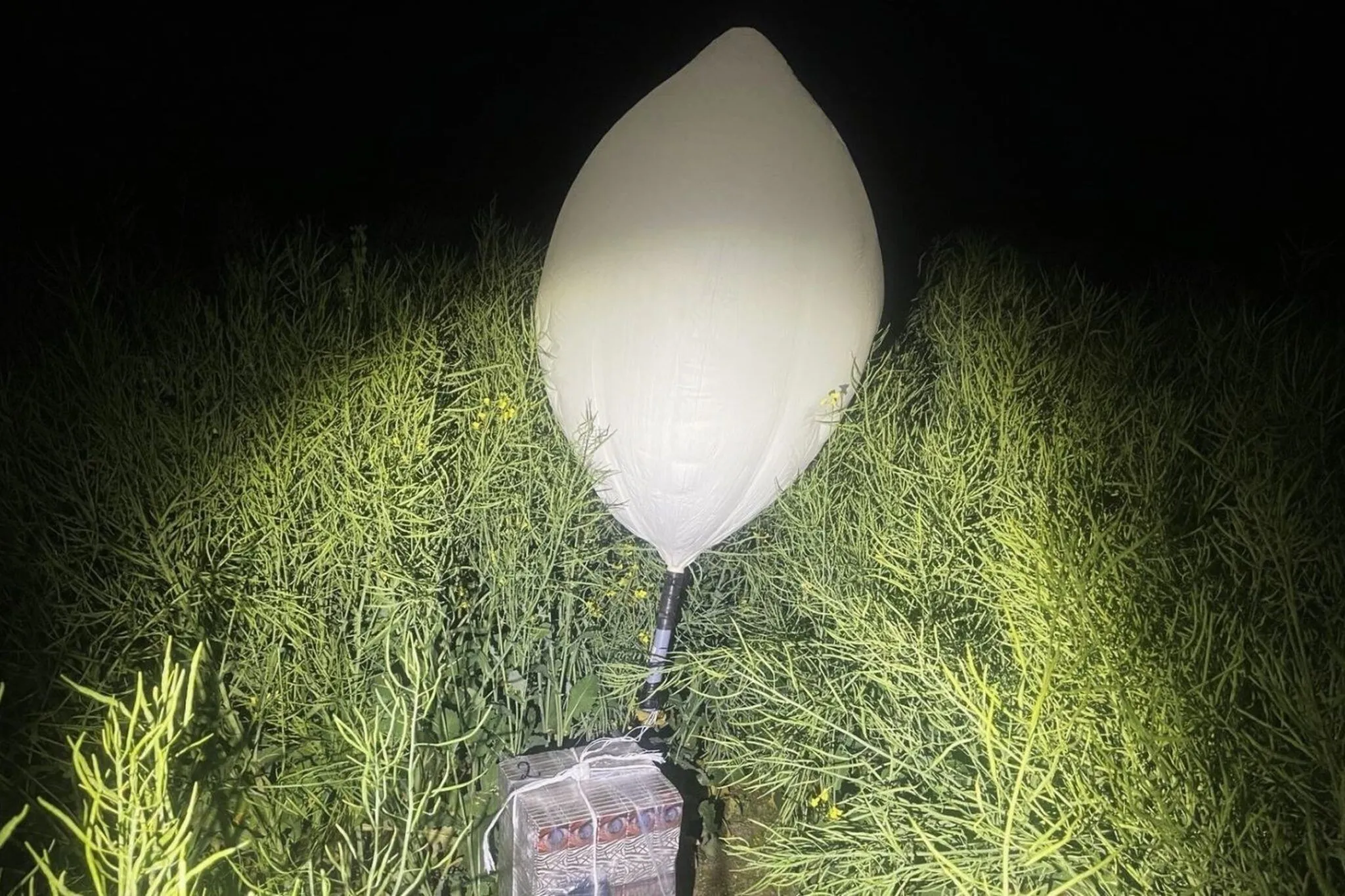 У Литві затримали контрабандистів, які переправляли товари з Білорусі на повітряних кулях — LRT