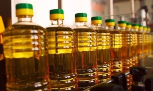 OnlyFans сплатив до українського бюджету майже мільйон доларів 