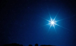 Нідерланди прокоментували слова Цемаха про громадянство