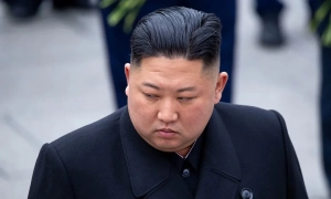 Нідерланди призупинили програму підготовки держслужбовців Грузії