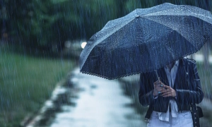 Верховна Рада IX скликання проводить перше пленарне засідання - трансляція