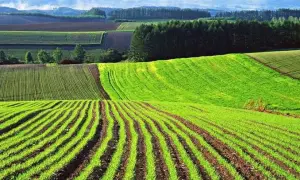 Число забронированных мужчин за год выросло на 300 тыс.