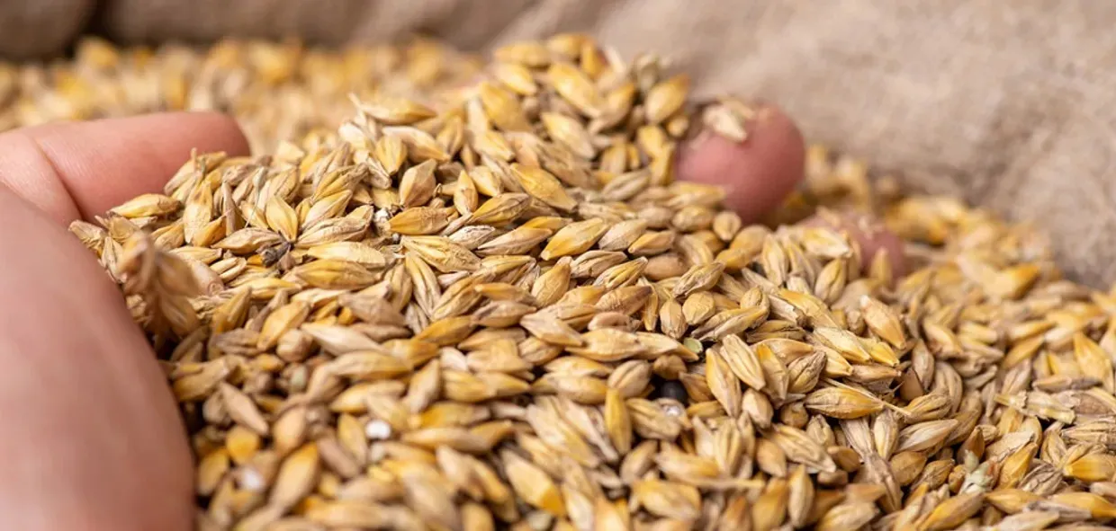 ВАКС определил меры пресечения для фигурантов дела о хищении зерна государственной корпорации