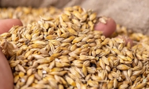 Порошенко вніс закон про розірвання договору про дружбу з РФ