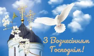 В Украине вступил в силу закон об электронных гарантиях на товары