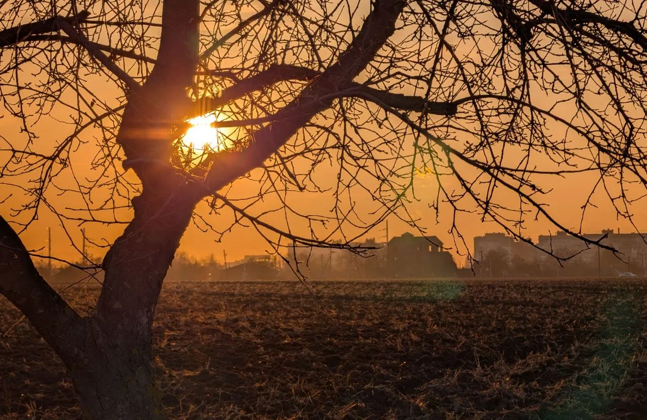 Весняне тепло в Україні зміниться на похолодання та мокрий сніг