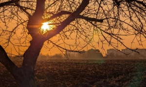 ЄС назвав свою вимогу, яку найпростіше виконати Україні