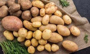 Генасамблея ООН розгляне питання про окупацію територій України