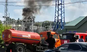Видео: крыса помешала заседанию парламента в испанской Андалусии