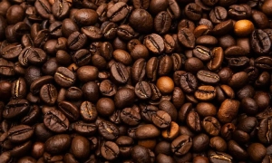 На Київщині прикордонники затримали ворожого диверсанта: подробиці 