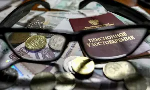 Заместитель национального комиссара полиции ЮАР Сибия предстал перед судом — Daily Maverick