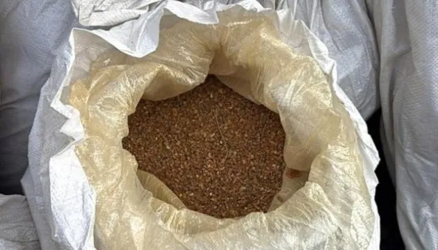 More than 4.7 metric tons of amber were illegally smuggled out of Ukraine under the guise of Lithuanian amber