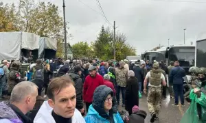 Правительство расширило возможности сервиса «Брак онлайн» в приложении «Дия»