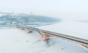 Збирали інформацію для рф, вигулюючи собаку: в Миколаєві судитимуть подружжя зрадників