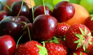 Новый генпрокурор установил сроки и этапы реформы ГПУ