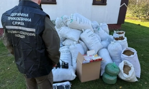 Синоптик попередив, коли в Україну прийдуть сніг та морози