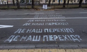 На Львівщині браконьєри вбили кількох червонокнижних зубрів: що відомо