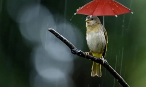 Партизани Криму зайнялися гауляйтером Аксьоновим