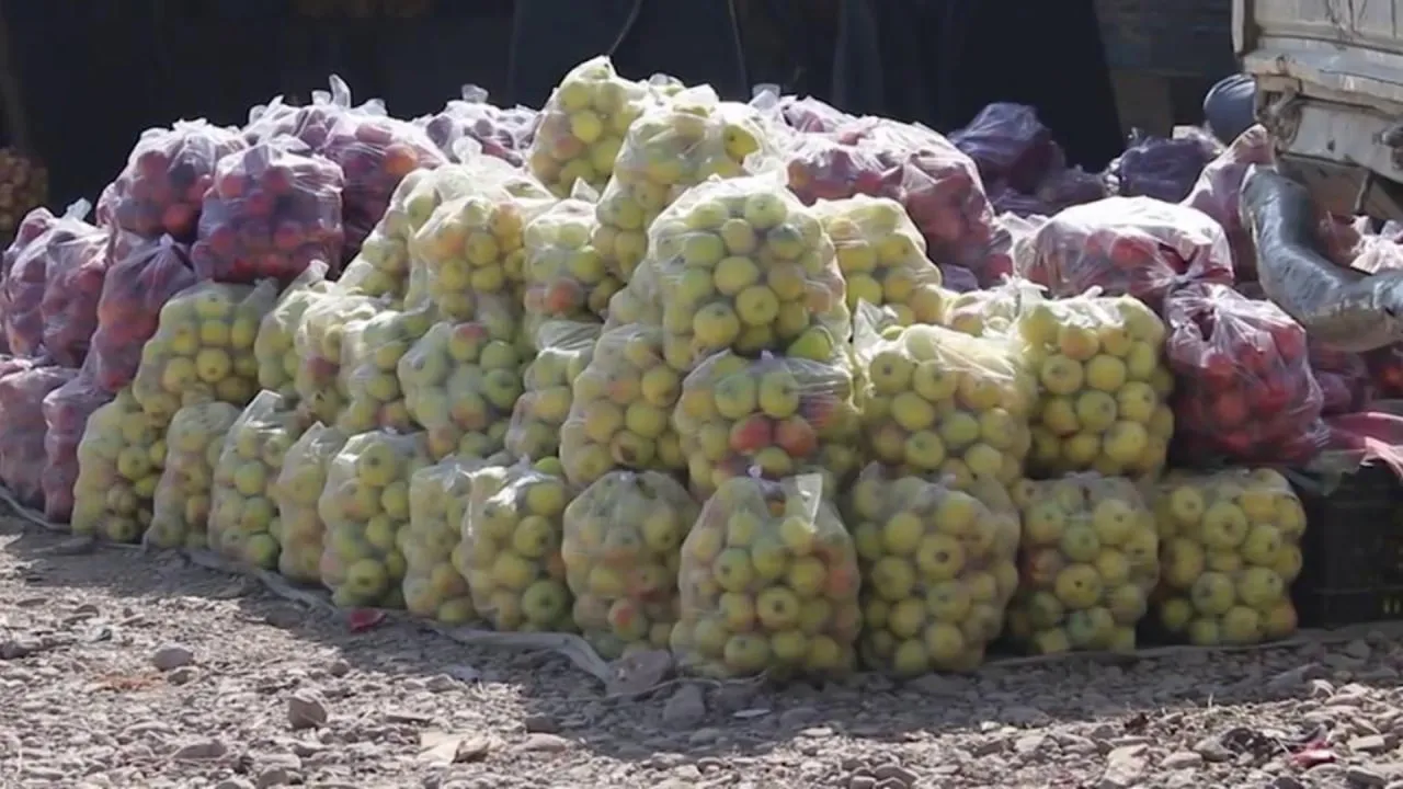 Росія почала імпорт яблук від талібів: перша партія вже в дорозі