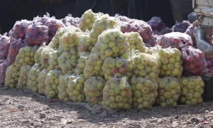 Внаслідок лісової пожежі в Канаді знищено кілька сотень будинків