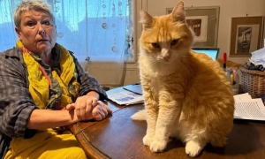 В ЄС ввели новий режим санкцій за порушення прав людини в рф