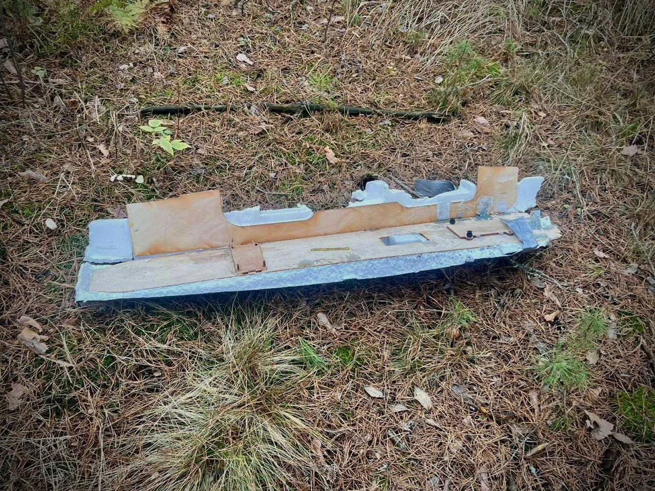 Двоє підлітків постраждали від вибуху дрона у лісі на Чернігівщині - фото