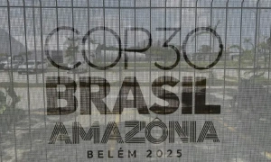 Мінфін США заборонив працівникам поширювати фото демонтажу частини Білого дому