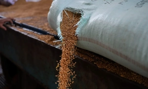 Фото: Трамп розпочав знос частини Білого дому для нового бального залу