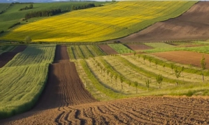 Минуло три роки з дня звільнення Херсона, боротьба за справедливість ще триває