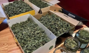 До України прийде спека до 34°C, — прогноз синоптиків