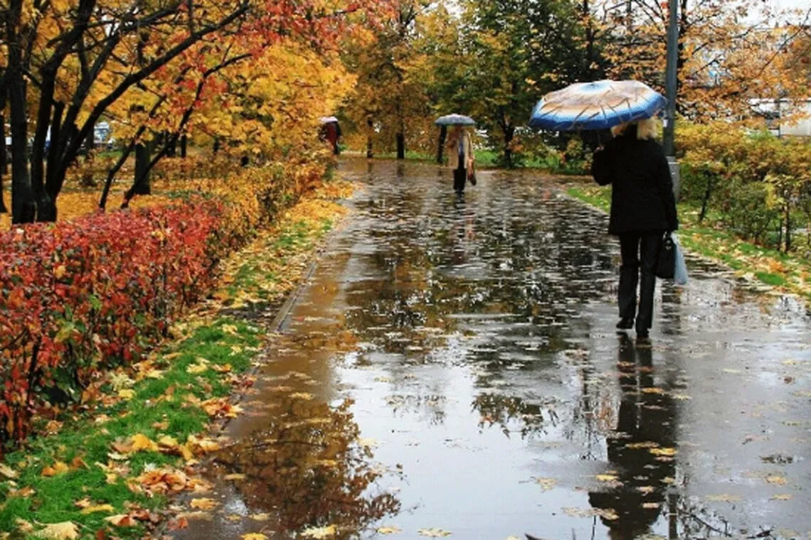 13 листопада в Україні дощі та тумани, вдень до +10°